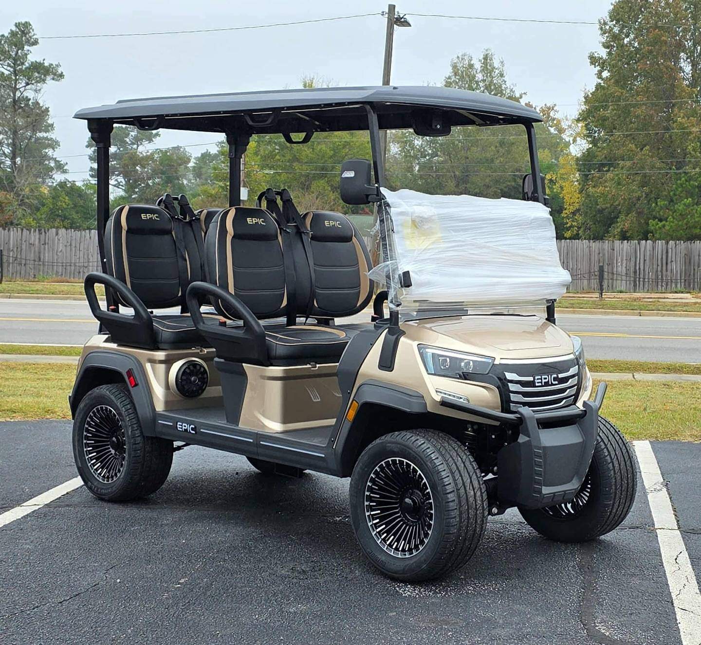 Buggy de golf Epic E40FX metalizado miniatura 2