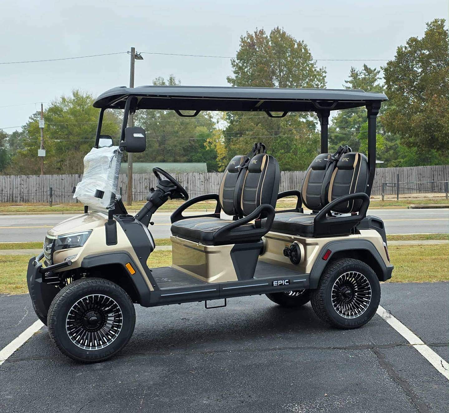 Buggy de golf Epic E40FX metalizado — buggy de golf en Fairway Carts Iberia